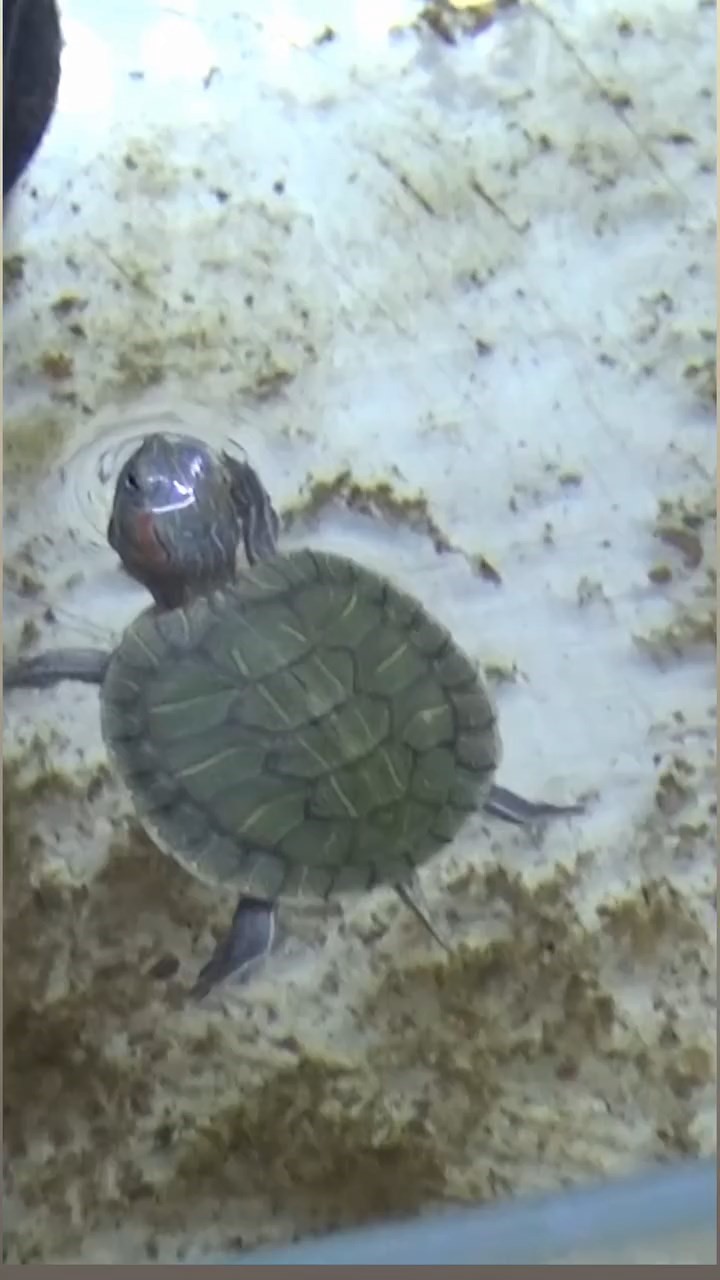 Doğa Koruma Milli Parklar 2. Bölge Müdürlüğü ve Bursa İl Emniyet Müdürlüğü