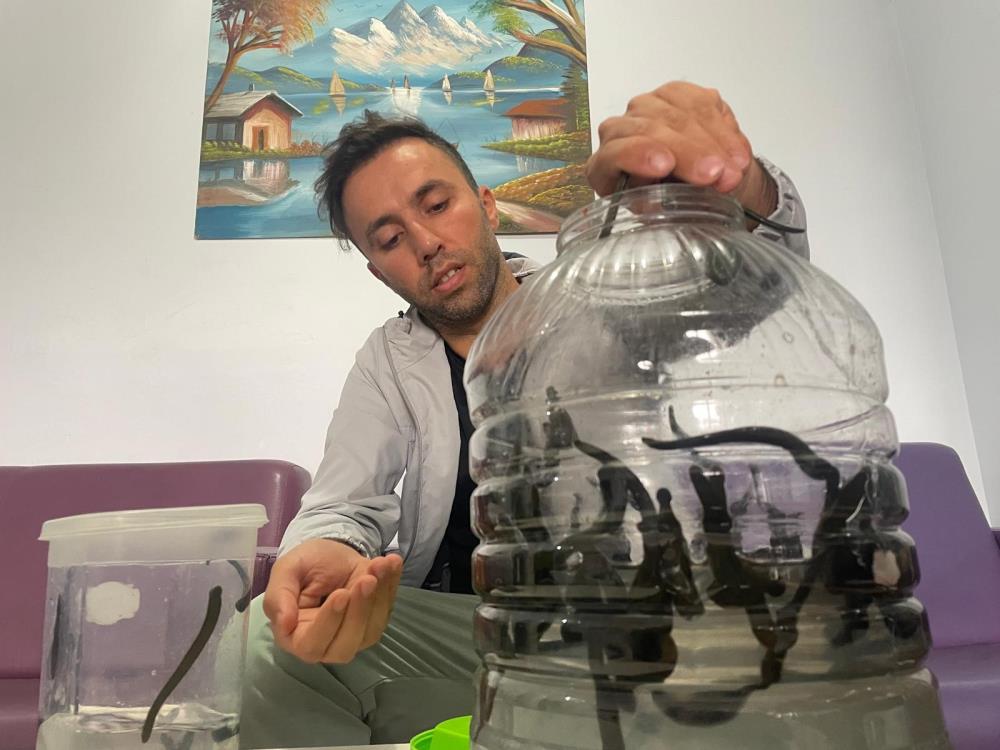 Güzellik için bunu deniyorlar 1 Bursam Medya -