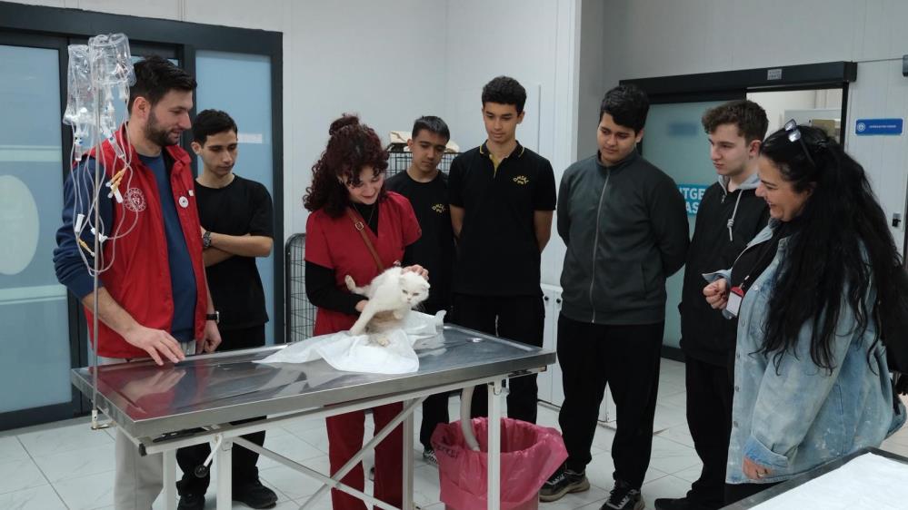 Yıldırım Belediyesi’nin Cumalıkızık Sahipsiz Hayvan Bakımevi ve Tedavi Merkezi’nde ağırlanan