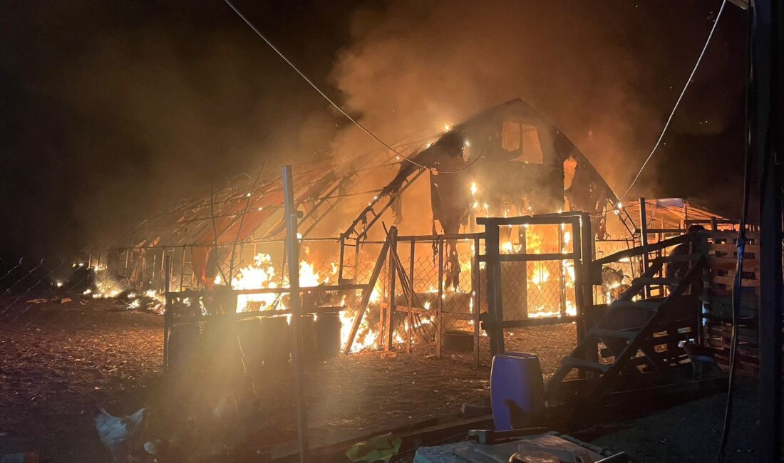 İnegöl’de bir çiftlikte çıkan yangın büyük zarara yol açtı. Alevlerin