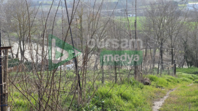 Mustafakemalpaşa’da dere kenarından gelen ihbar ekipleri harekete geçirdi. Yapılan incelemede