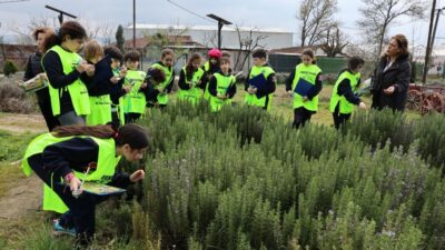 
Nilüfer Belediyesi'nin "Bostan Kaşifleri" projesiyle toprakla bağ kuran 15 öğrenci,