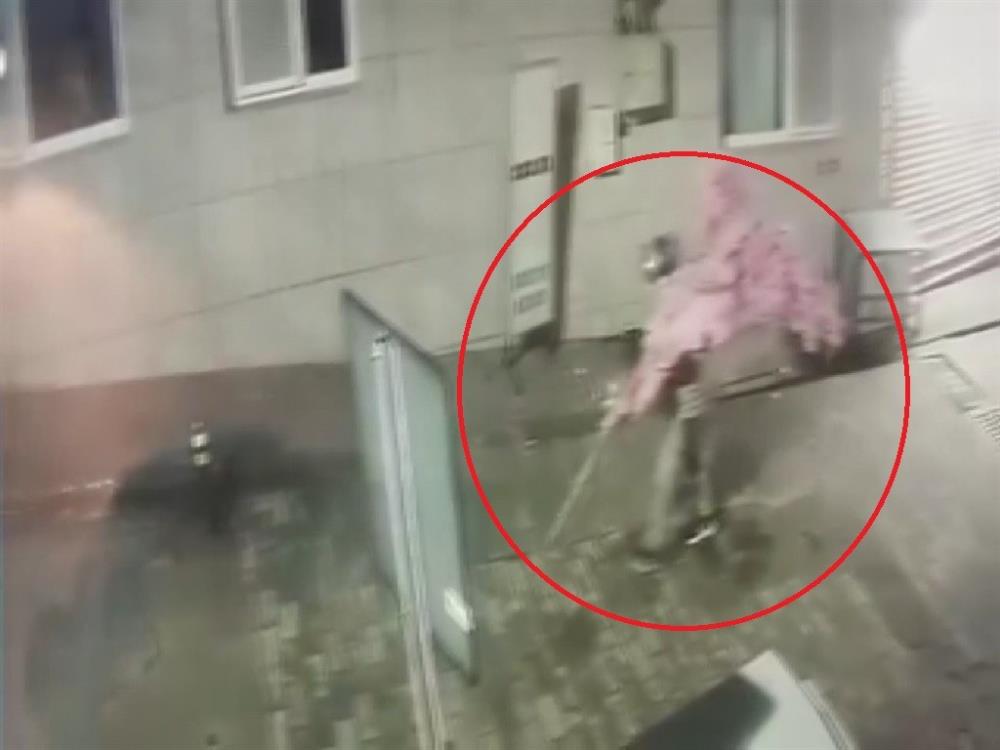 Süs ağacını söküp kayıplara karıştı. 1 Bursam Medya -