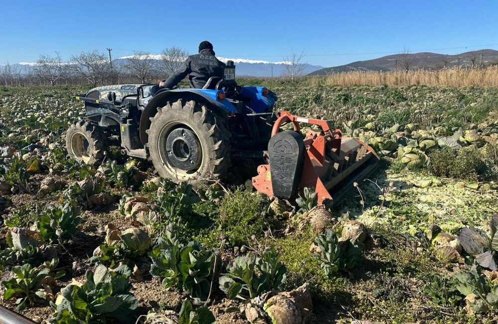 Bursa'da pazar yerlerinde lahananın tanesi 50 ile 70 lira arasında