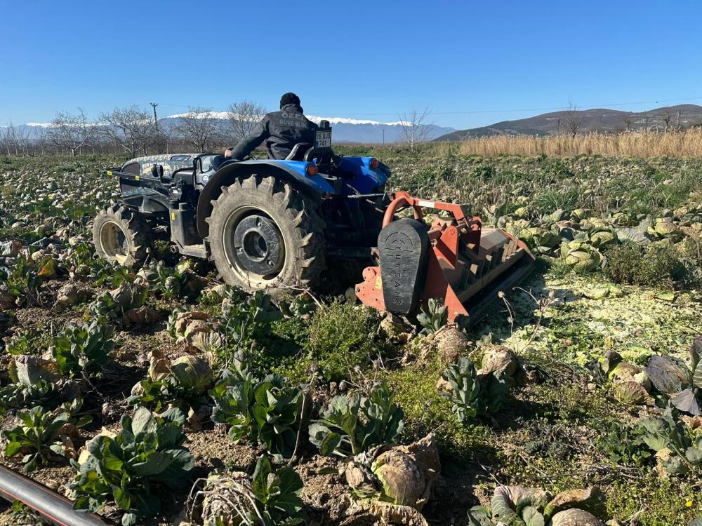 Bursa'da pazar yerlerinde lahananın tanesi 50 ile 70 lira arasında