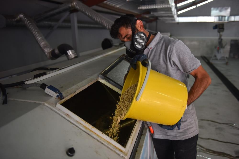 Atık yemekler çöpe gitmiyor… Mamaya dönüşüyor 3 Bursam Medya -