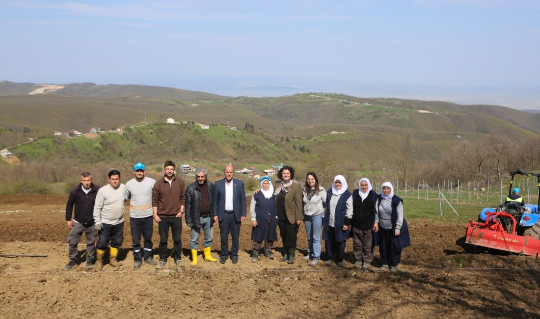 Nilüfer Belediyesi, Kadriye Mahallesi’nde 400 böğürtlen fidanı dikerek alternatif tarıma