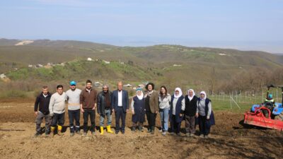 Nilüfer Belediyesi, Kadriye Mahallesi’nde 400 böğürtlen fidanı dikerek alternatif tarıma