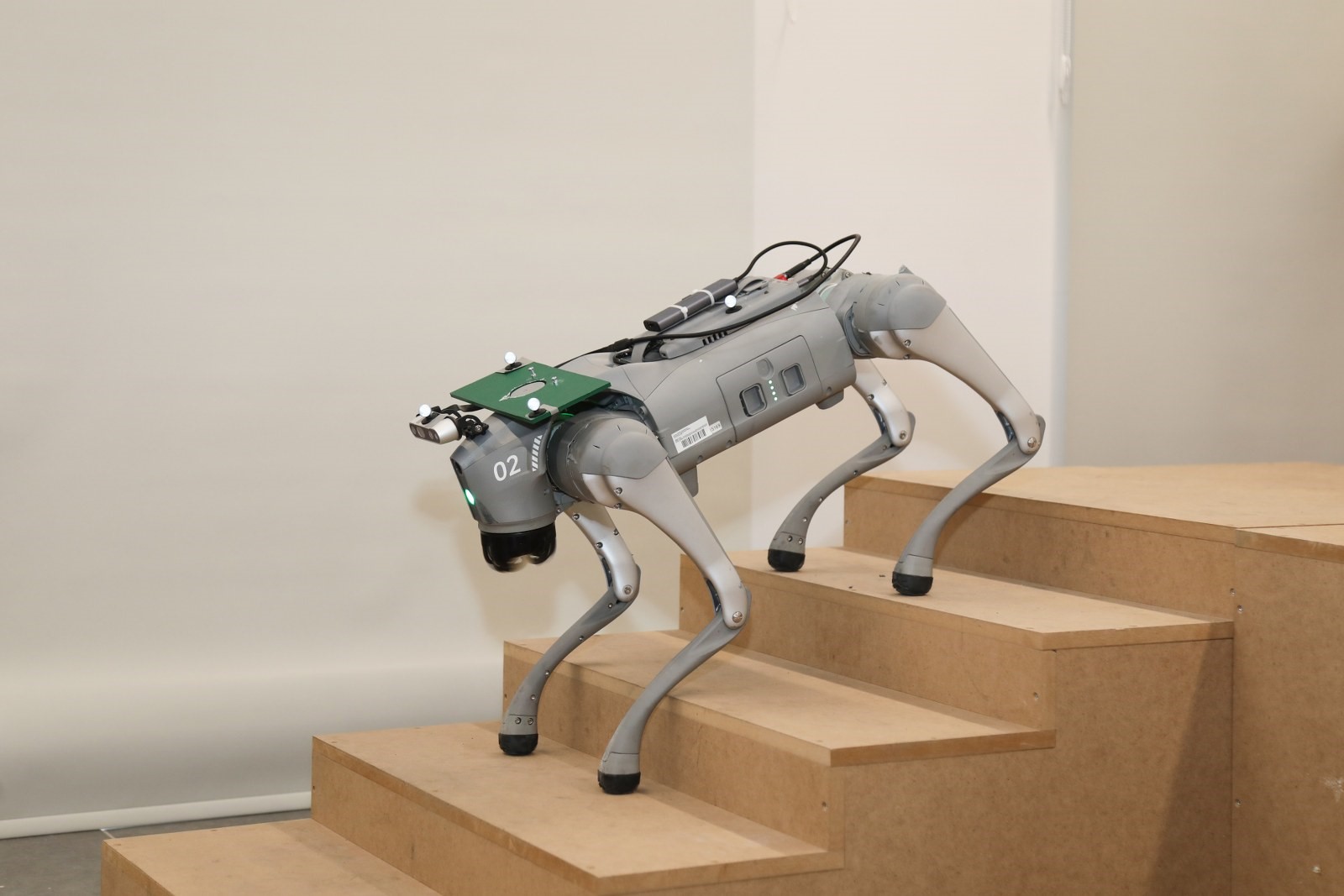 BTÜ’nün yeni projesiyle 80 öğrenci, robot köpekler üzerinden robotik teknolojileri