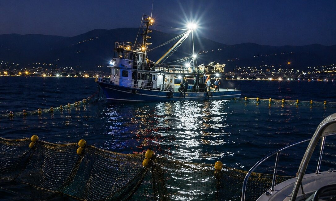 Gemlik Körfezi’nde artan balıkçı tekneleri ve yüzer ağlar, amatör denizciler