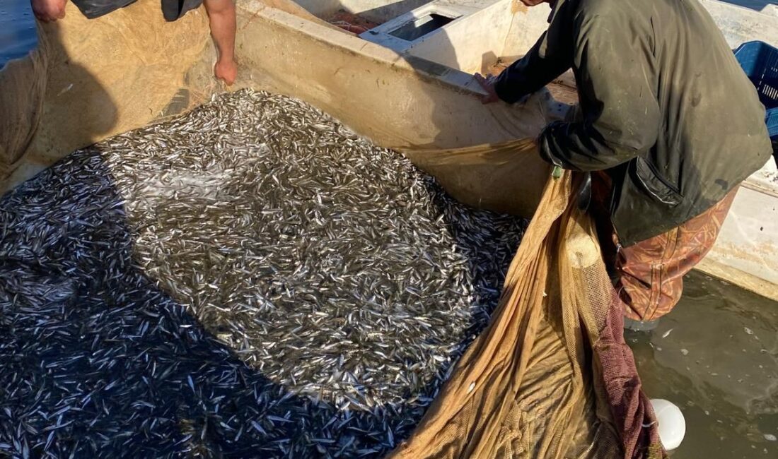 Bursa’daki İznik Gölü’nde gümüş balığı sezonu açıldı. Balıkçılar ilk avda
