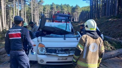 Uludağ’da facia gibi olay! Kesilen çam ağacı kamyonetin üzerine devrildi.