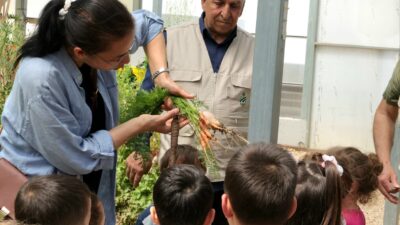 Osmangazi’de düzenlenen etkinlikte çocuklar serada tohum ekti, fide dikti ve