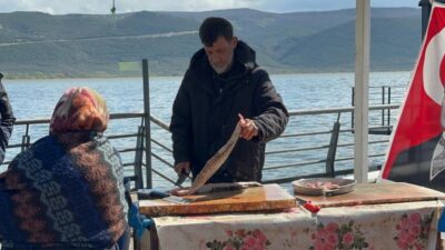 Bursa'da Uluabat Gölü'ndeki su miktarının artması, buna bağlı balığın az