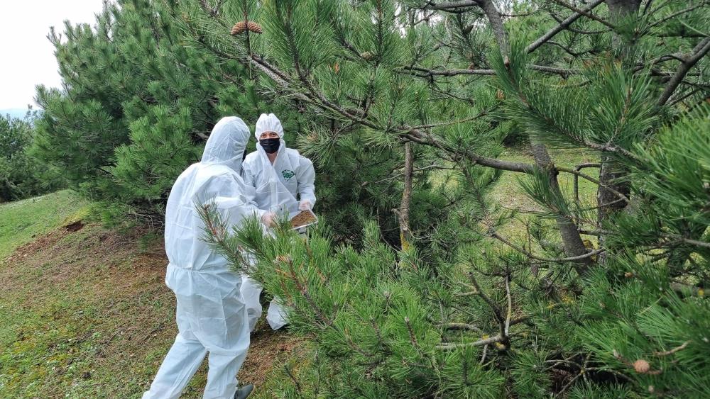 Bursa Orman Bölge Müdürlüğü, doğayla uyumlu ve sürdürülebilir biyolojik mücadele