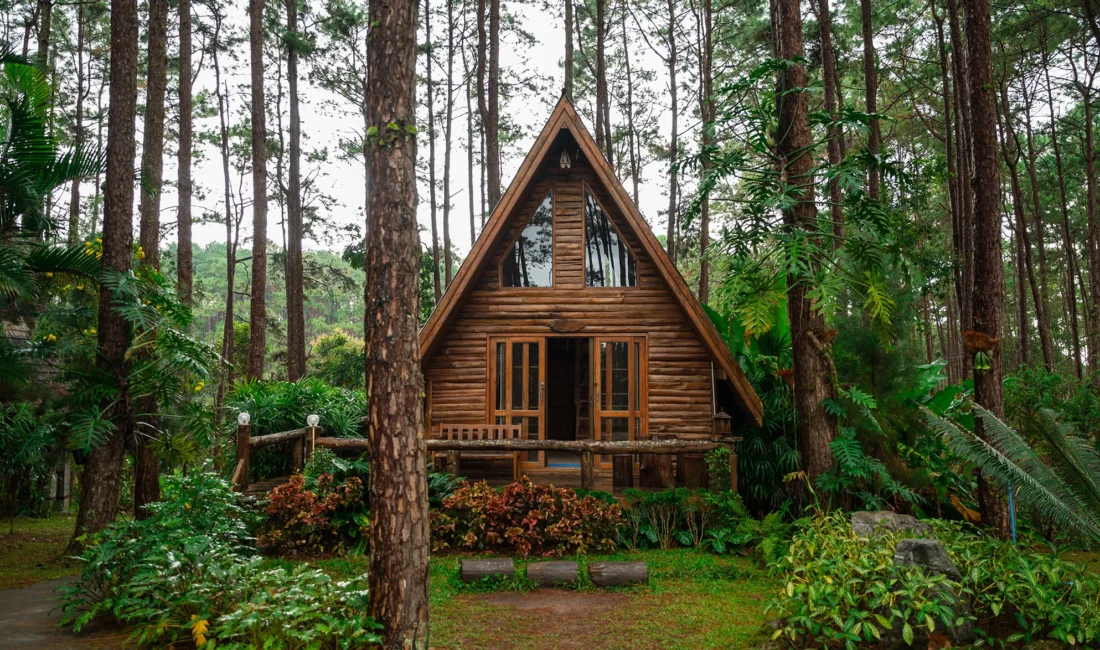 Tarım arazilerine yapılan kaçak yapılar için süre başladı; 1 ay