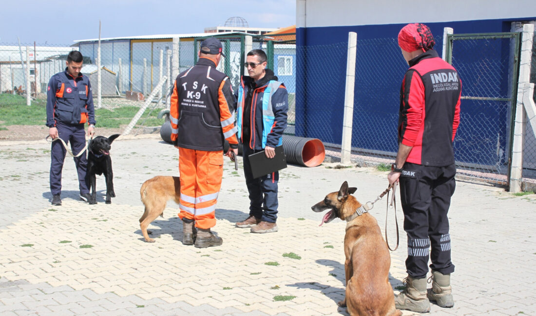 İNDAK K9 ekibi, AFAD sınavında başarı elde ederek görev yeterlilik