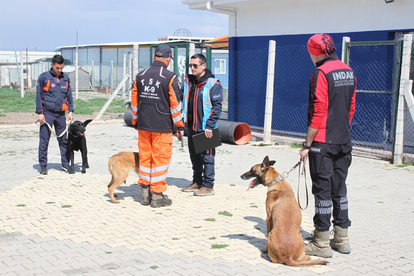 İNDAK K9 ekibi, AFAD sınavında başarı elde ederek görev yeterlilik