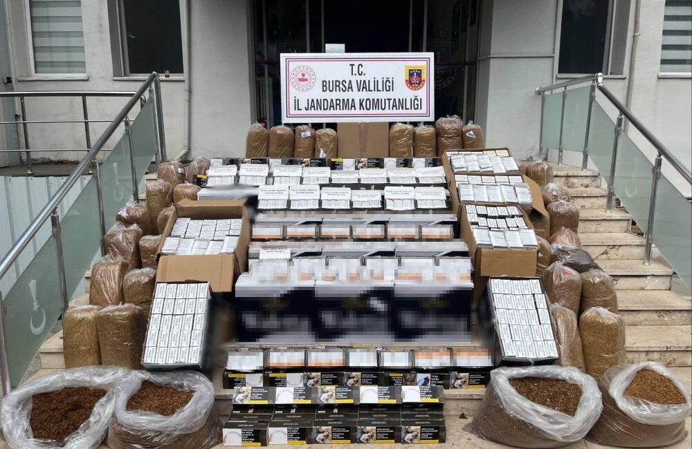 Bursa'nın Gemlik ilçesinde jandarma ekipleri düzenlenen operasyonda 205 bin adet