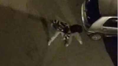 Bursa’da iki kişi arasında çıkan kavga, dakikalarca sürdü. Sokak ortasında