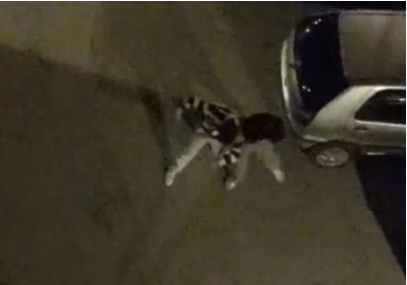 Bursa’da iki kişi arasında çıkan kavga, dakikalarca sürdü. Sokak ortasında
