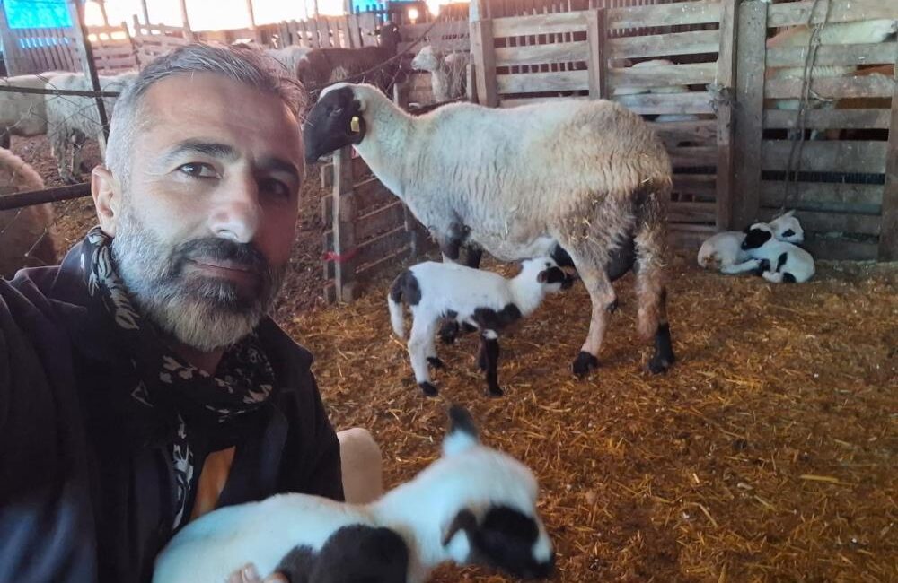 Denizli'nin Pamukkale ilçesinde büyükbaş hayvancılığı bırakarak küçükbaş üretime yönelen iki