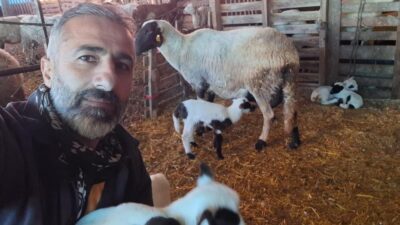 Denizli'nin Pamukkale ilçesinde büyükbaş hayvancılığı bırakarak küçükbaş üretime yönelen iki