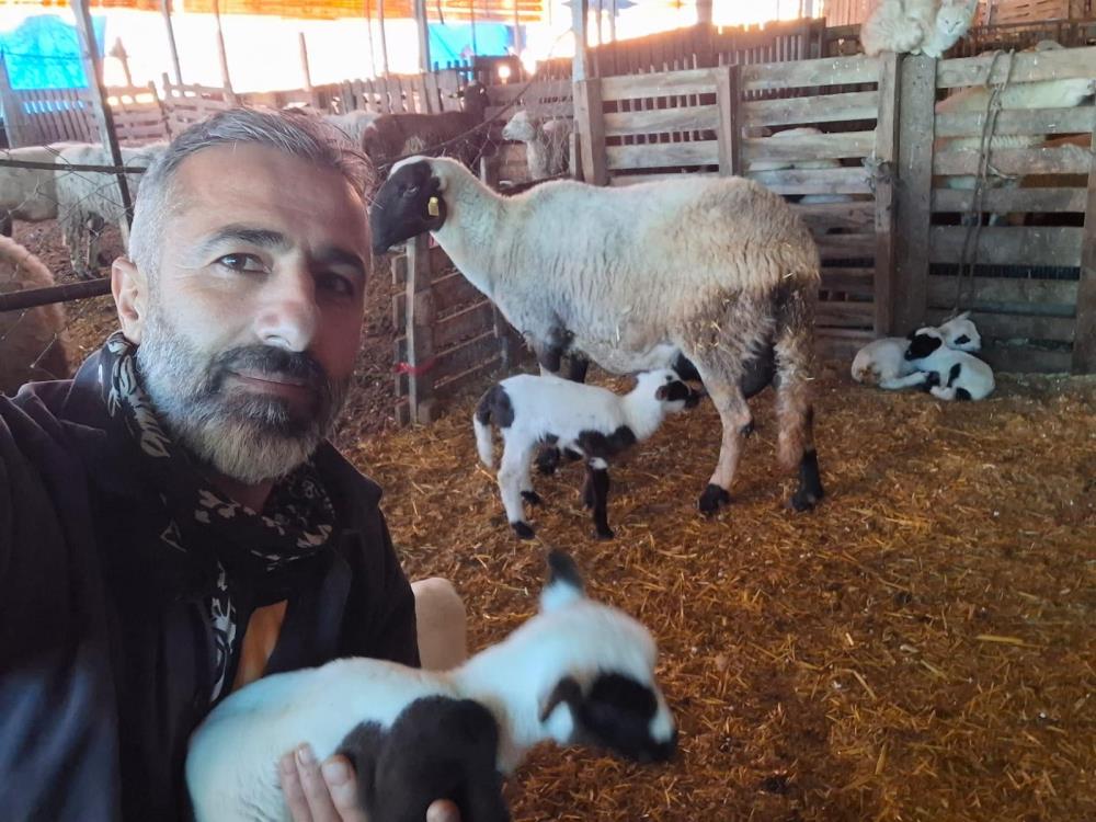 Denizli'nin Pamukkale ilçesinde büyükbaş hayvancılığı bırakarak küçükbaş üretime yönelen iki