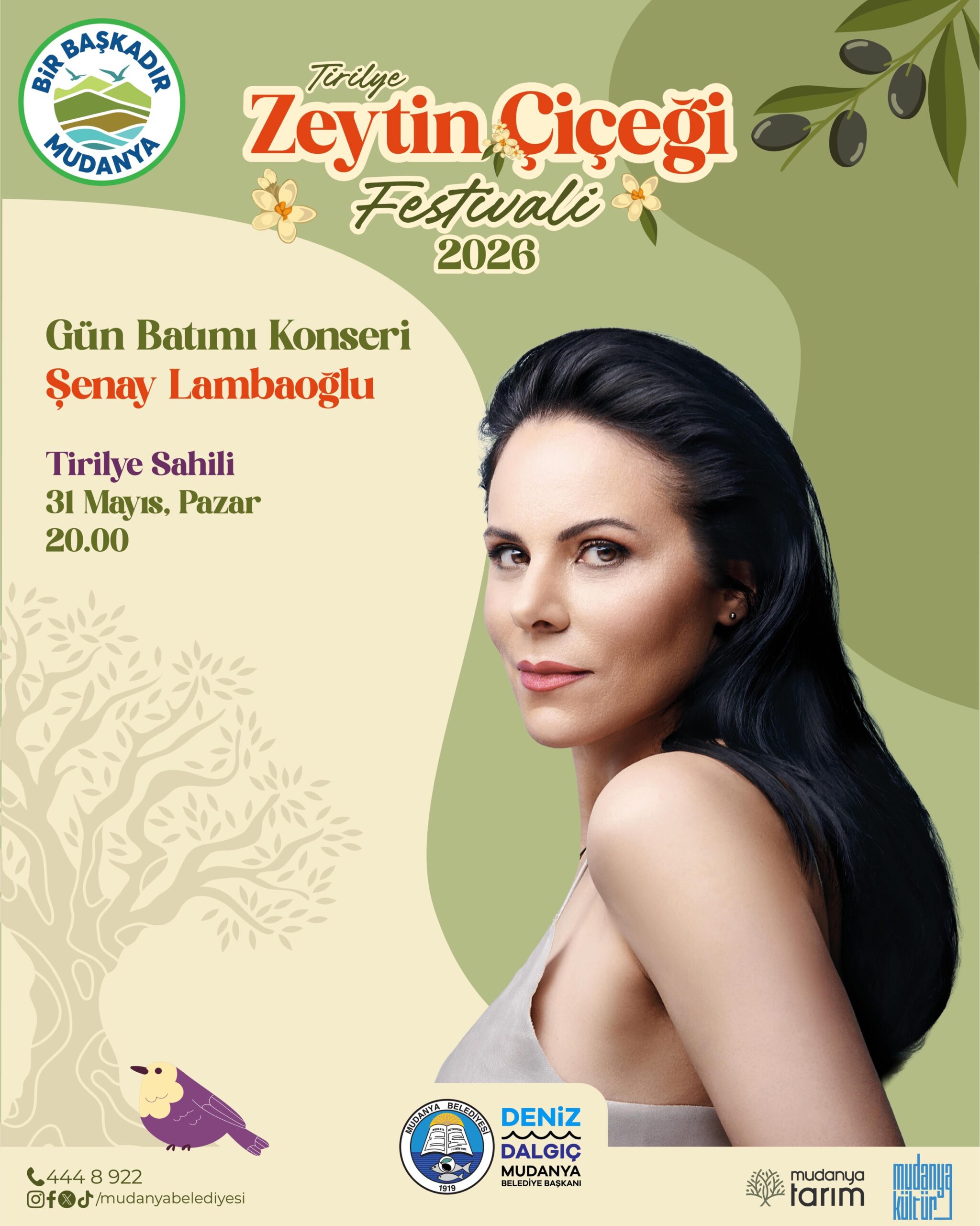 Bursam Medya -