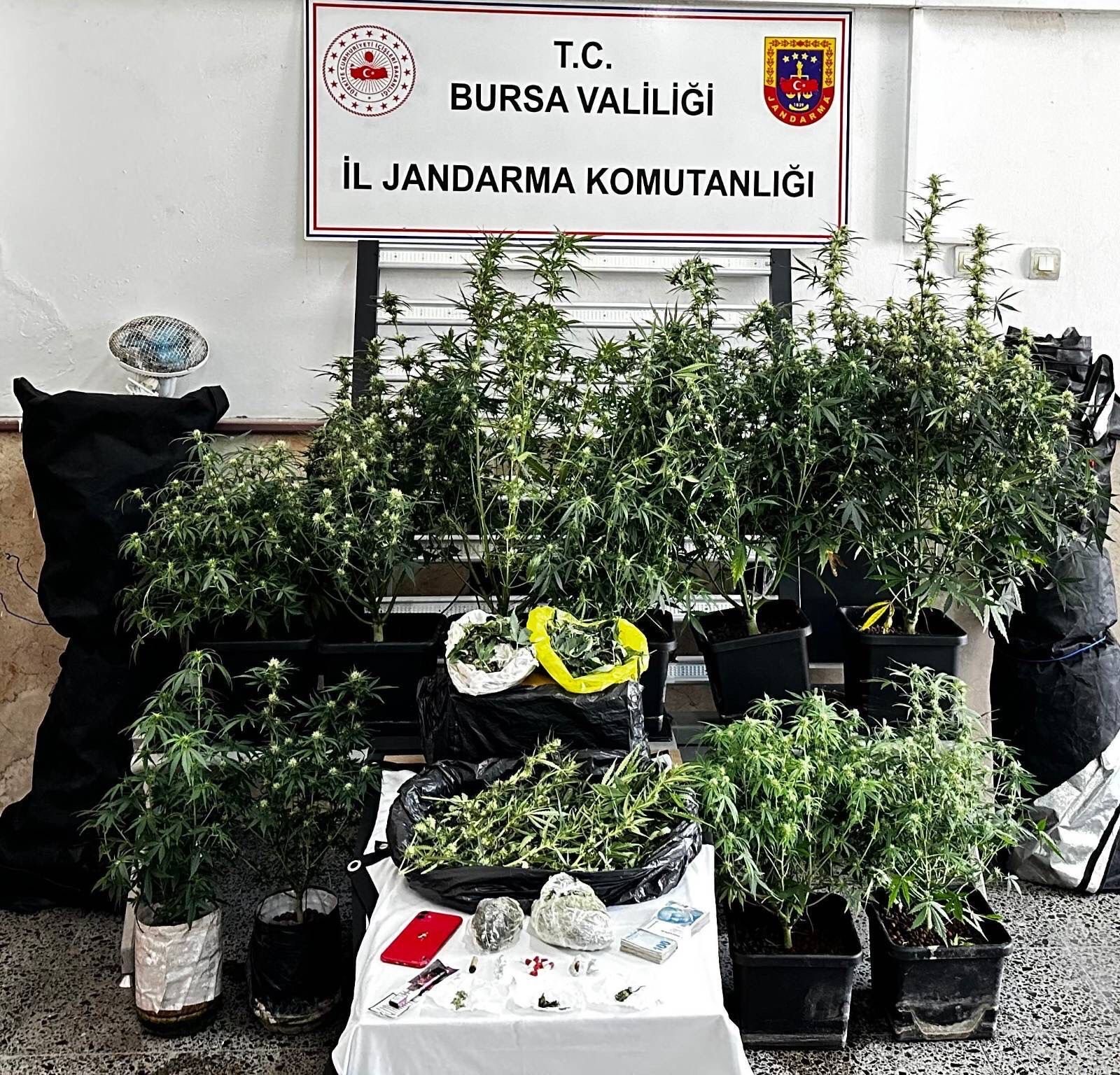 Bursa’da jandarma ekiplerinin düzenlediği uyuşturucu operasyonunda kilolarca madde ele geçirildi,
