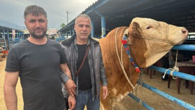 İsabey Kurban Pazarı’nda Kurban Bayramı hareketliliği başladı. Pazarın en dikkat