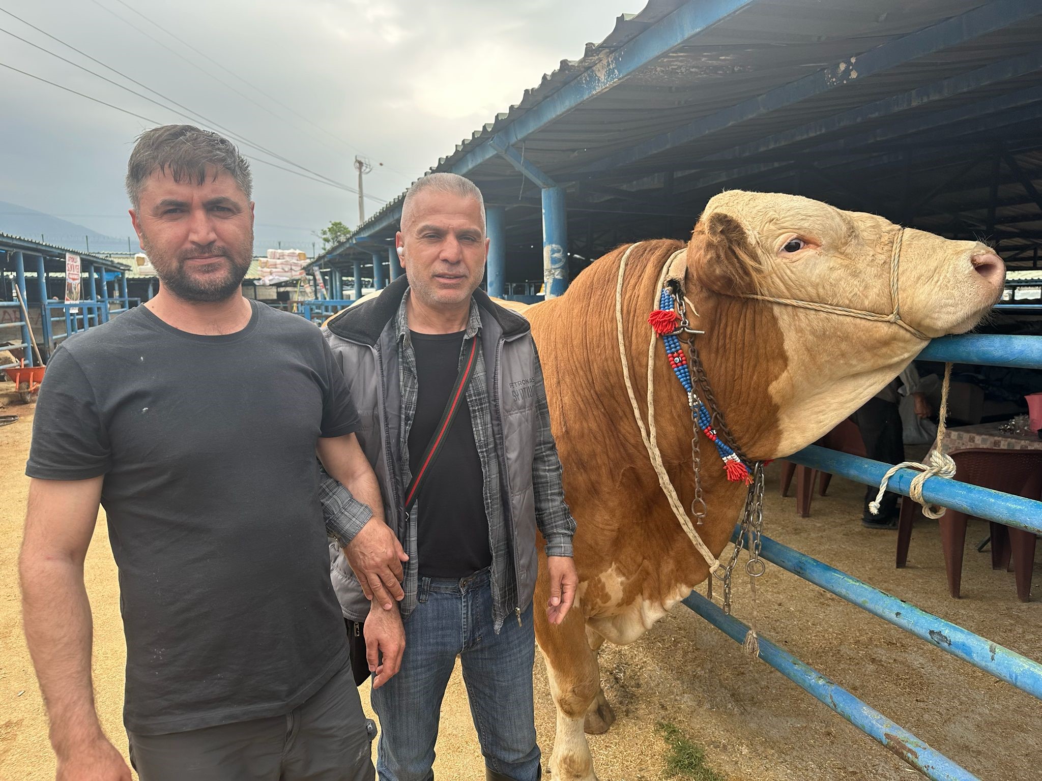 İsabey Kurban Pazarı’nda Kurban Bayramı hareketliliği başladı. Pazarın en dikkat
