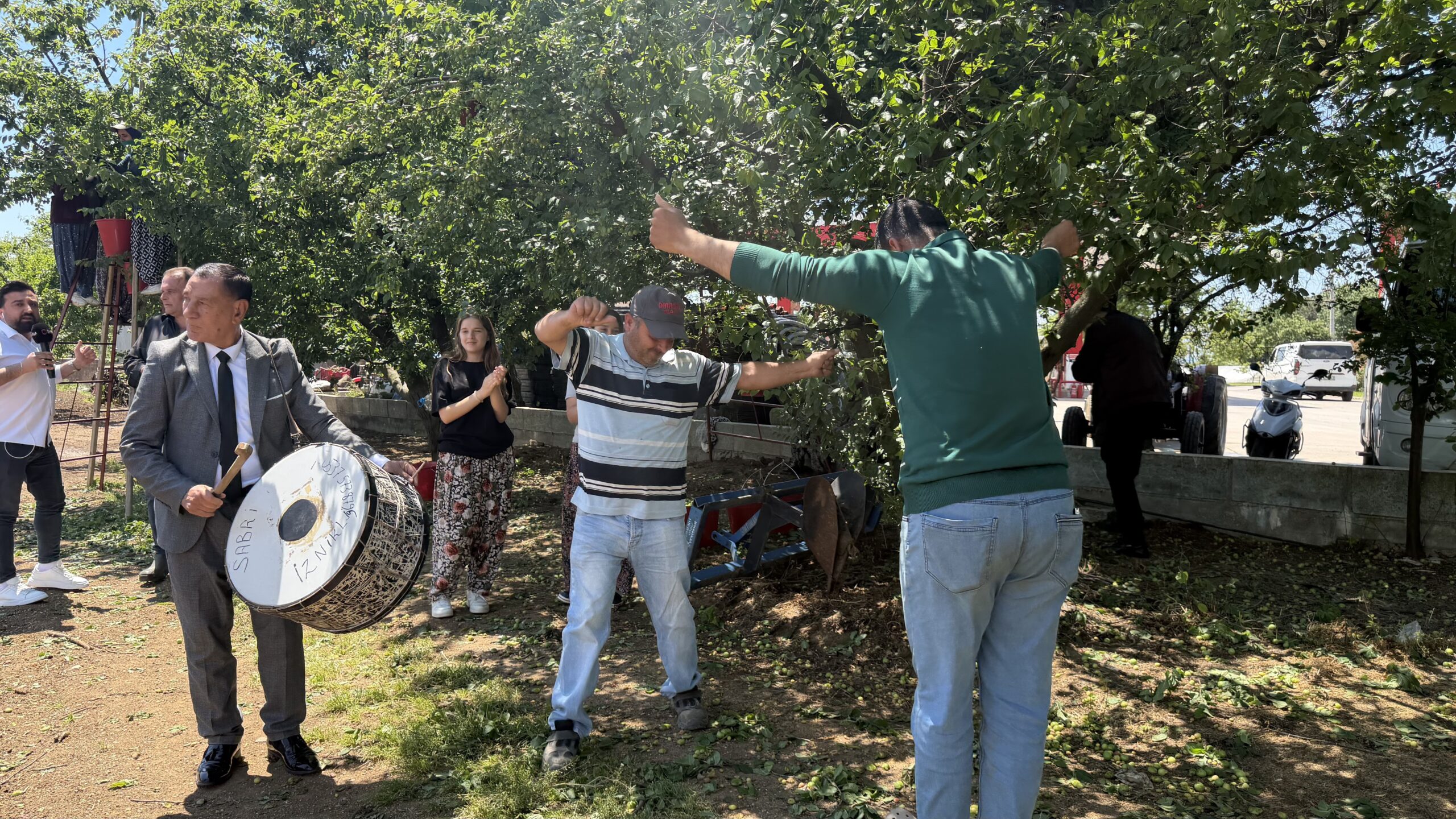 Bursa’nın İznik ilçesinde sezonun ilk erik hasadı, rekoltedeki 4 kat