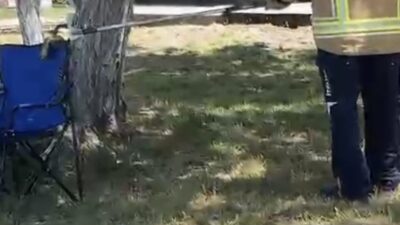 Bursa’nın İznik ilçesinde bina yakınında görülen sarı yılan mahallede kısa