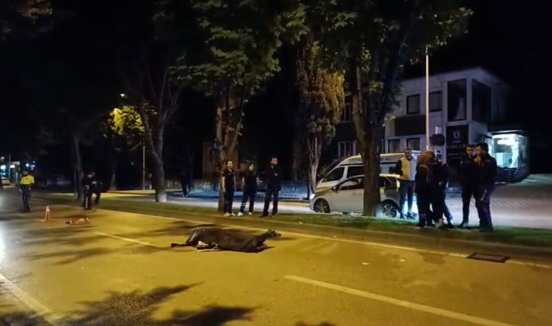 Bursa’da motosikletiyle geçirdiği kazada yaşamını yitiren Teksas tribününün sevilen isimlerinden