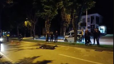 Bursa’da motosikletiyle geçirdiği kazada yaşamını yitiren Teksas tribününün sevilen isimlerinden