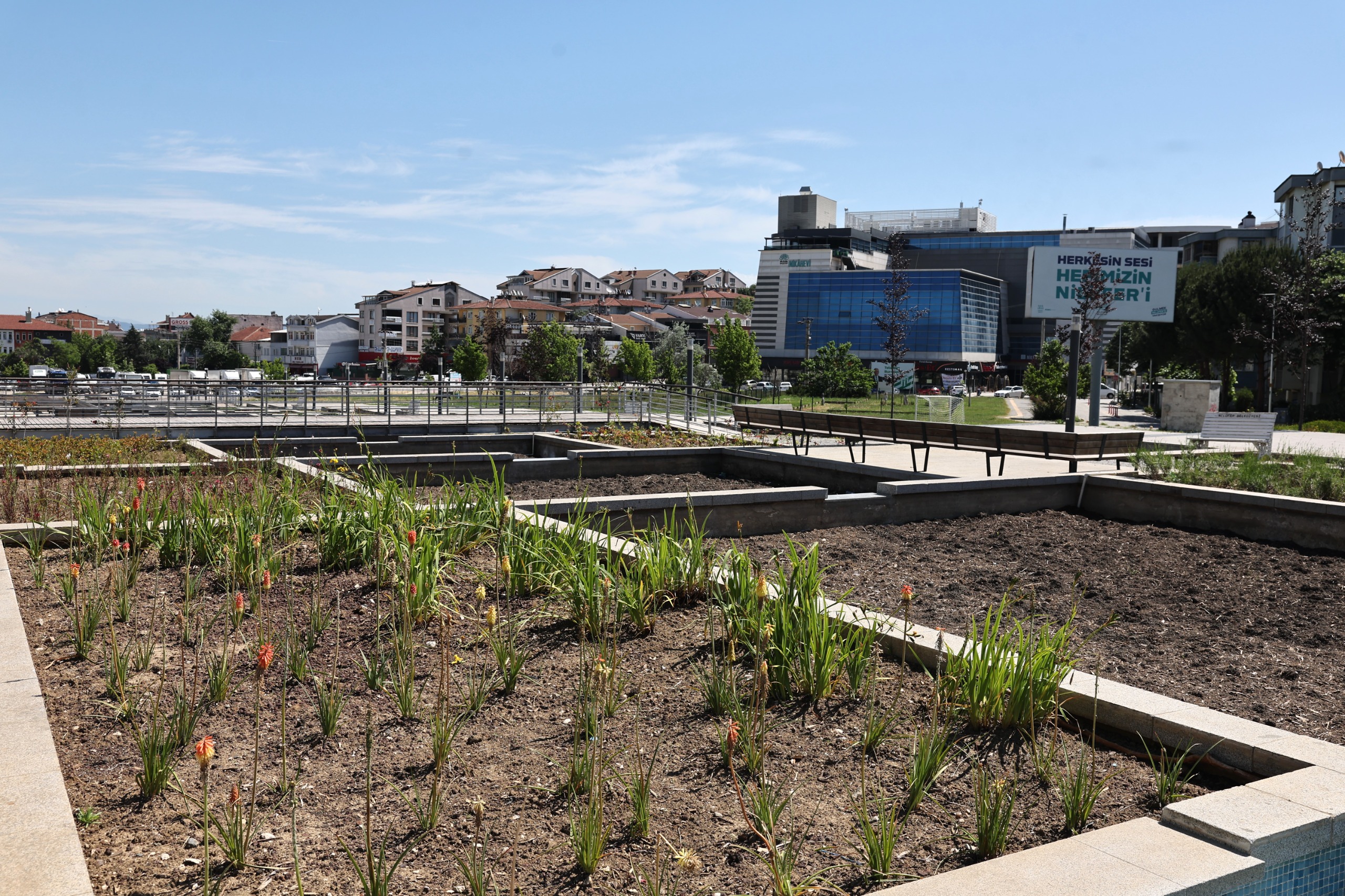 Bursam Medya -