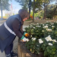 Bursam Medya -