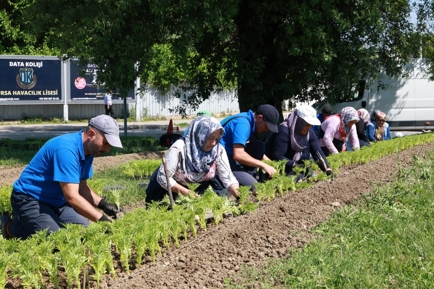 Osmangazi Belediyesi, yaz dönemi peyzaj çalışmaları kapsamında ilçenin farklı noktalarında